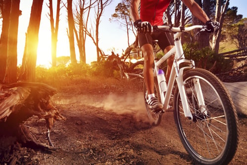 Mountain bike